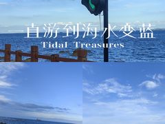-养马岛旅游度假区