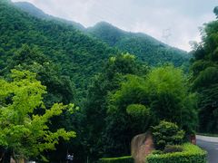 -长谷洞天
