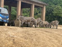 -杭州野生动物世界