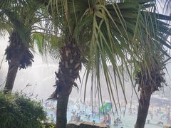 -重庆海昌加勒比海水世界