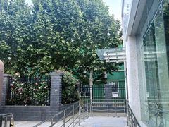 -首都医科大学附属北京天坛医院