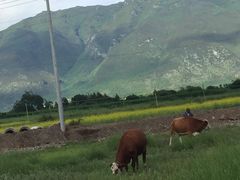 -唱客美食KTV量贩(日新路店)