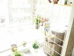 -执茶识麦(万达华府店)
