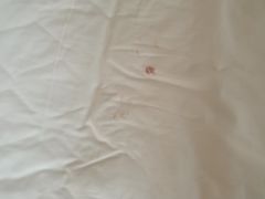 -天津水游城丽筠酒店