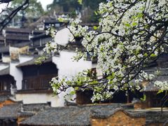-篁岭景区