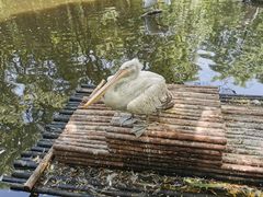 -济南野生动物世界