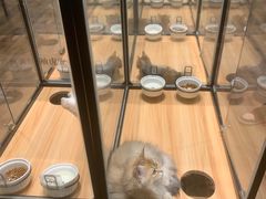 -袖虎·猫馆(体育西路店)