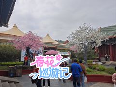 -珠海圆明新园