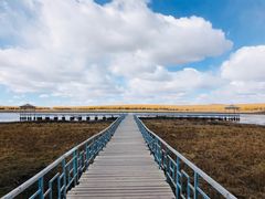 -塞罕坝国家级自然保护区