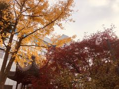 -常州古运河南大街文化旅游区-人民公园