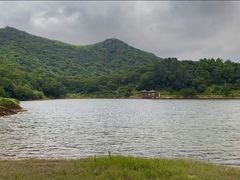 -大姆山草场