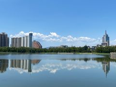 -莲花池公园