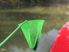 -吴淞炮台湾湿地森林公园烧烤区