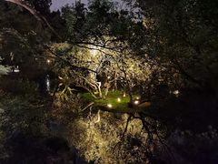 -西湖天地