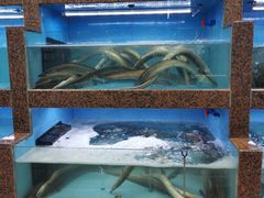 -渔人湾码头海鲜市场负二楼