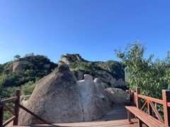 -大岭沟猕猴桃谷风景区