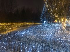 -长春世界雕塑园冰雪艺术天地