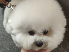 -瑞虹新天地月亮湾