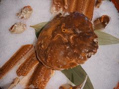 -石葵(锦业时代店)