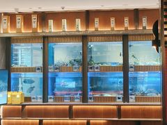 -同禧荟·港味海鲜火锅·粤菜(三亚湾店)