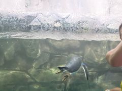 -南昌海洋公园