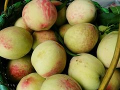 -武汉世外桃源农庄