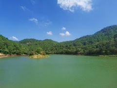 -广州白江湖森林公园