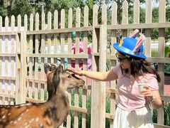 -水上乐园·欢乐世界