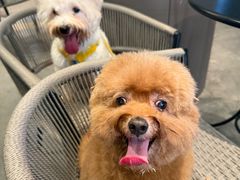 -星巴克(南宁华润幸福里店)