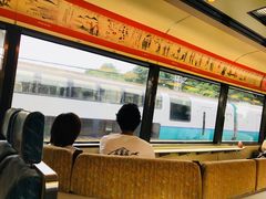 -伊豆观海列车