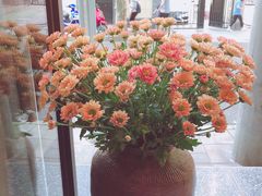 -Apollo·西班牙小酒馆(安福路店)