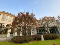 -棕榈岛海鲜自助餐厅(虹桥迎宾馆店)