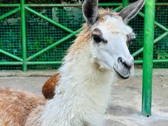 -杭州野生动物世界