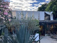 -自由生长植物工作室(深港花卉中心店)