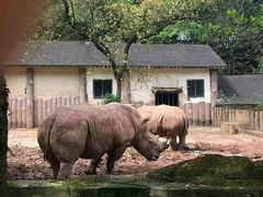 -昆明动物园