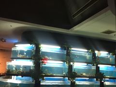 大堂-王家渡火锅店(棕榈泉店)