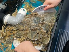 -苏格里岛自助烤肉海鲜火锅(成都金牛万达店)
