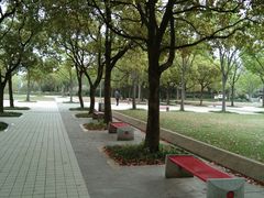 -新江湾城公园