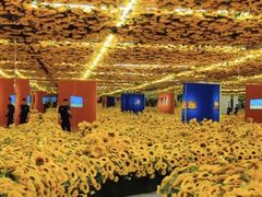 -天津梵高星空艺术馆(天河城旗舰店)