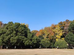 -灵谷景区
