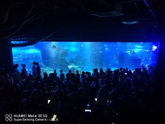 -江和美海洋公园