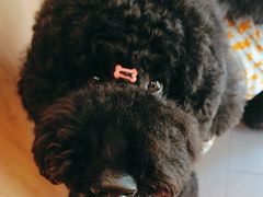 -COSTA COFFEE(上海虹口公园店)