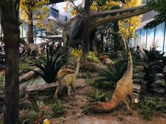 -湖南省地质博物馆