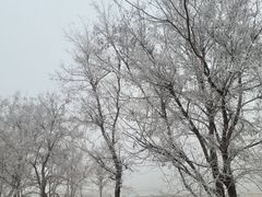 -北运河水利风景区