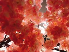 -紫· 割烹  Kappo Murasaki