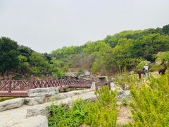 -北京西山国家森林公园