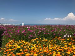 -青海湖二郎剑景区
