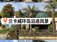 -瓜镇夜市