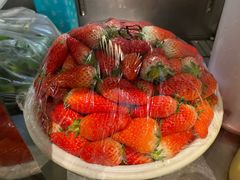 -春丽小马(济南恒隆广场店)