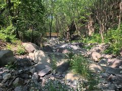 -云岫谷自然风景区